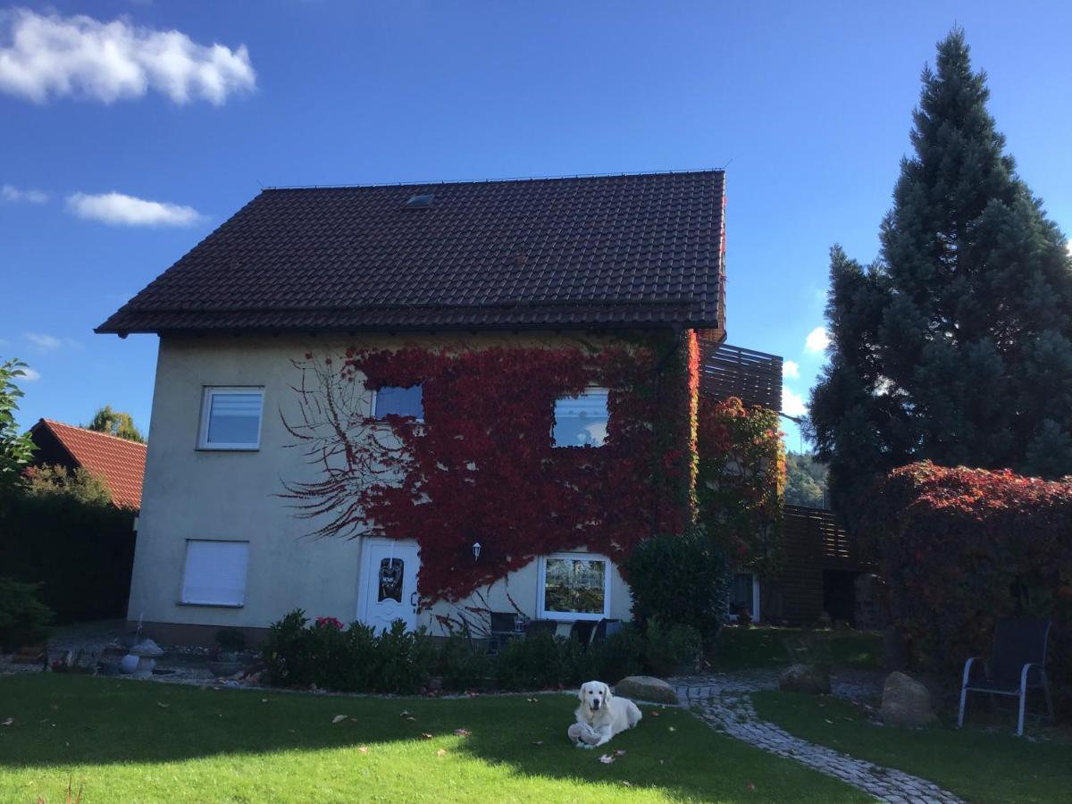 Ferienwohnung Elli Gernrode  外观 照片